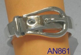 AN0861