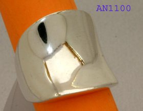 AN1100