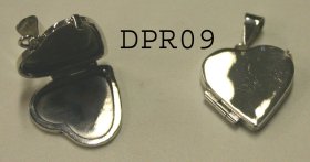 DPR0009