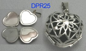 DPR0025