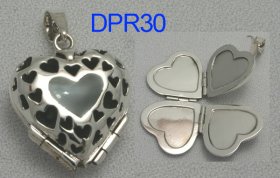 DPR0030